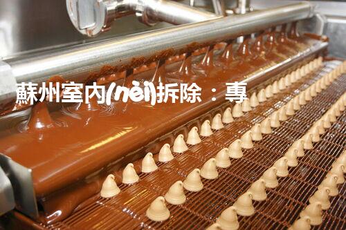 蘇州室內(nèi)拆除：專業(yè)高效，安全環(huán)保一站式服務(wù)